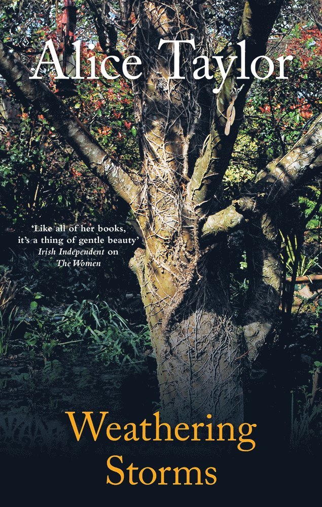 Alice Taylor - Weathering Storms, Inbunden