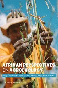bokomslag African Perspectives on Agroecology