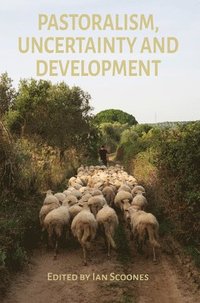 bokomslag Pastoralism, Uncertainty and Development