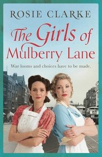 bokomslag The Girls of Mulberry Lane