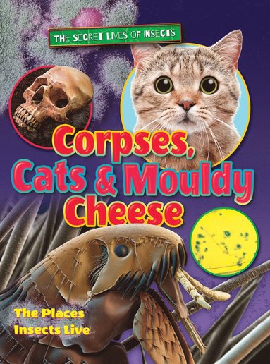 bokomslag Corpses, Cats and Mouldy Cheese