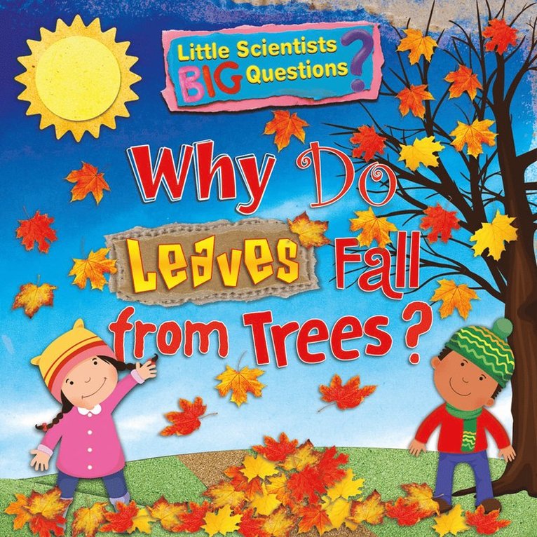 Ruth Owen - Why Do Leaves Fall From Trees?, Häftad