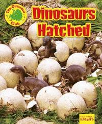 bokomslag Dinosaurs Hatched!