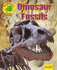 bokomslag Dinosaur Fossils