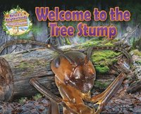bokomslag Welcome to the Tree Stump