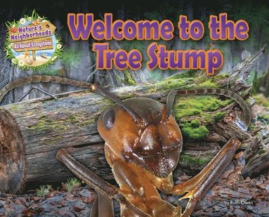 bokomslag Welcome to the Tree Stump