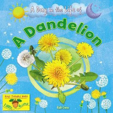 bokomslag A Dandelion