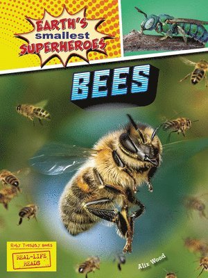Bees 1