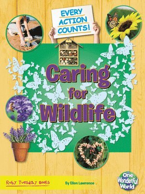 Caring for Wildlife 1