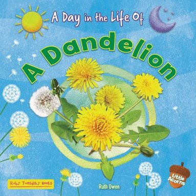 bokomslag A Dandelion