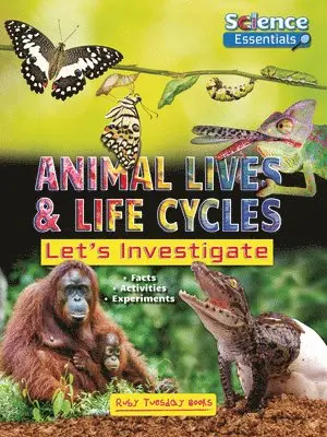 Ruth Owen - Animal Lives and Life Cycles: Let's Investigate, Inbunden. Tillgänglighet: Lägg i varukorg