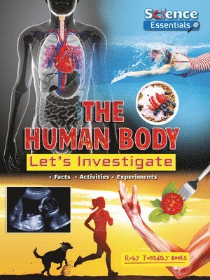 bokomslag The Human Body