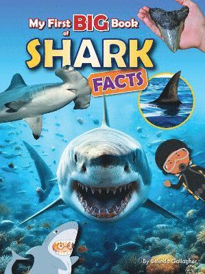Belinda Gallagher - My First BIG book of SHARK Facts, Häftad