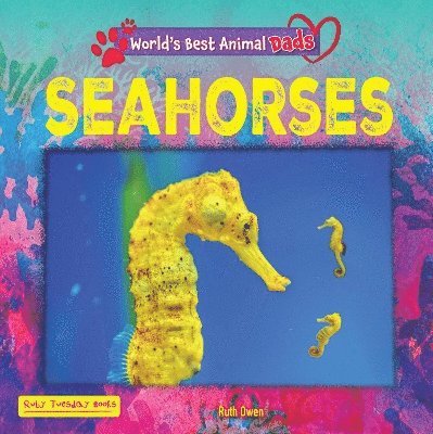Seahorses 1