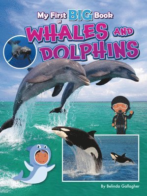 My First Big Book of Whales and Dolphins