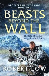 bokomslag Beasts Beyond The Wall