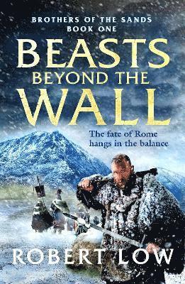 bokomslag Beasts Beyond The Wall