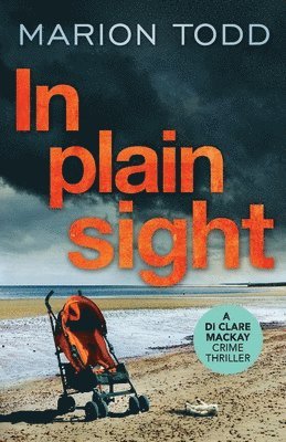 Marion Todd - In Plain Sight, Häftad