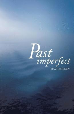 David Olsen - Past Imperfect, Häftad