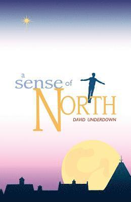 Sense of North, A