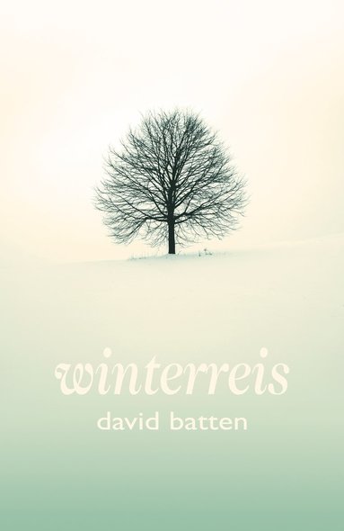 bokomslag Winterreis