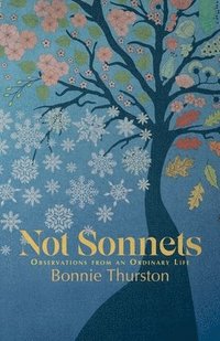 bokomslag Not Sonnets