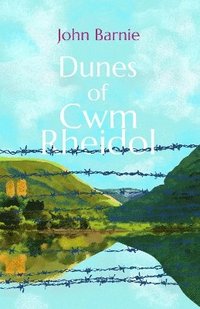 bokomslag Dunes of Cwm Rheidol