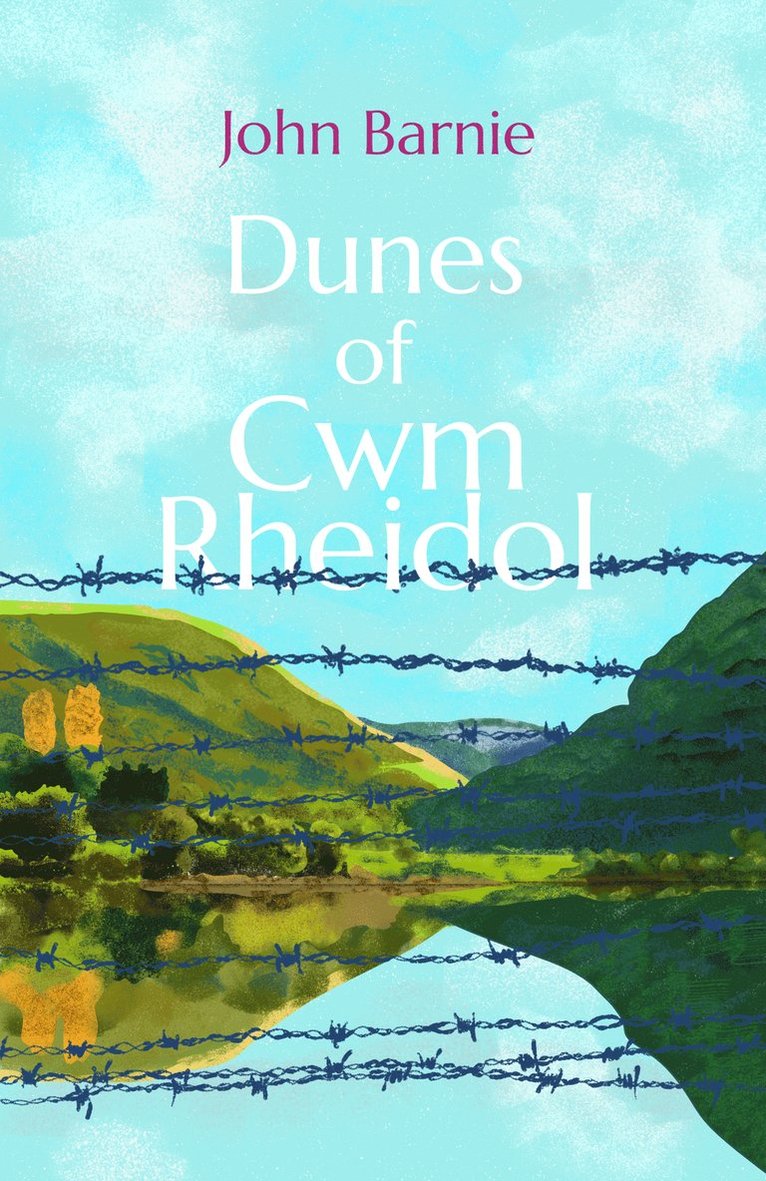 John Barnie - Dunes of Cwm Rheidol, Häftad