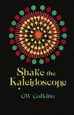 bokomslag Shake the Kaleidoscope