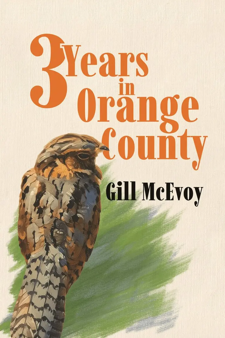 Gill McEvoy - Three Years in Orange County, Häftad. Tillgänglighet: Lägg i varukorg
