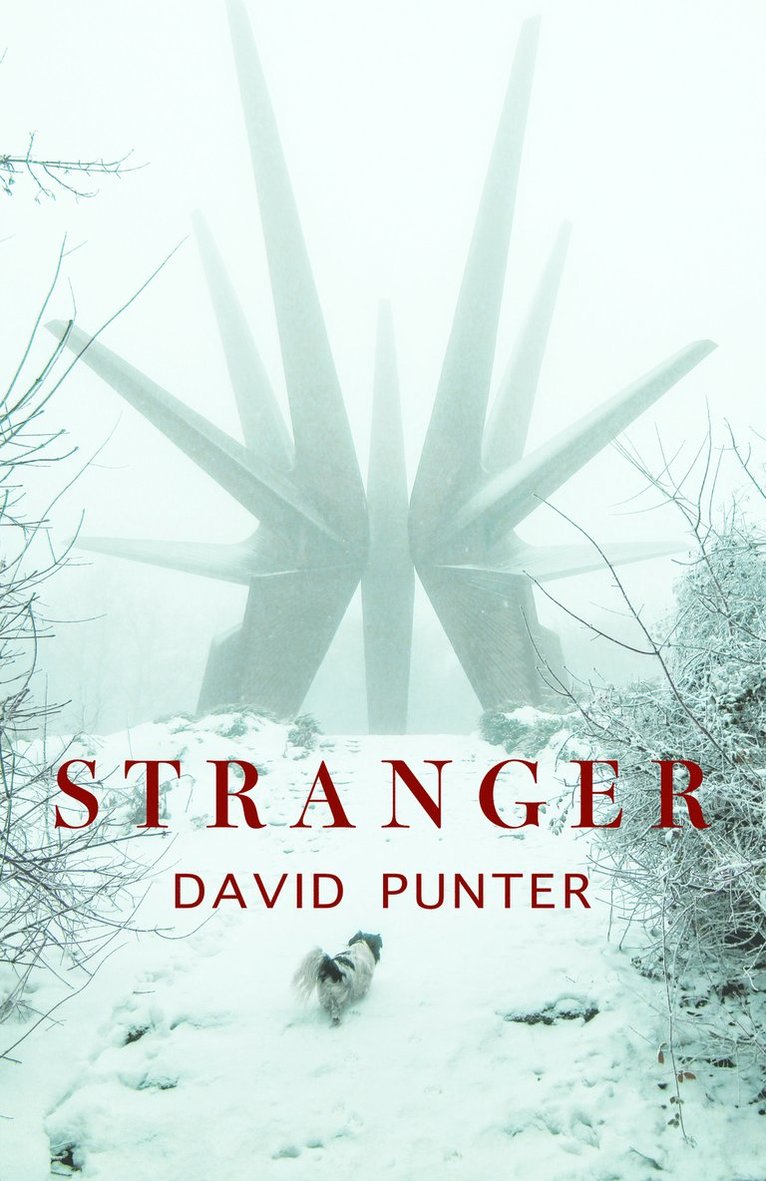 David Punter - Stranger, Häftad