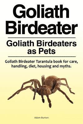 Goliath Birdeater . Goliath Birdeaters as Pets. Goliath Birdeater Tarantula book for care, handling, diet, housing and myths. 1