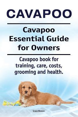 bokomslag Cavapoo. Cavapoo Essential Guide for Owners. Cavapoo book for training, care, costs, grooming and health.