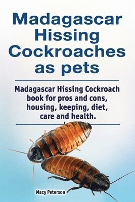 Madagascar hissing cockroaches as pets. Madagascar hissing cockroach book for pros and cons, housing, keeping, diet, care and health. 1