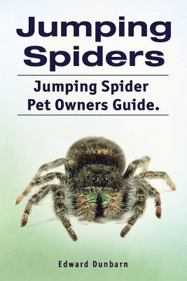 Jumping Spiders. Jumping Spider Pet Owners Guide. 1