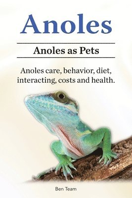 bokomslag Anoles. Anoles as Pets. Anoles care, behavior, diet, interacting, costs and health.