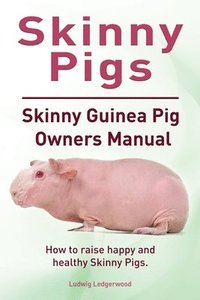 bokomslag Skinny Pigs. Skinny Guinea Pig Owners Manual. How to raise happy and healthy Skinny Pigs.