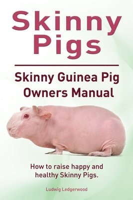 Skinny Pigs. Skinny Guinea Pig Owners Manual. How to raise happy and healthy Skinny Pigs. 1