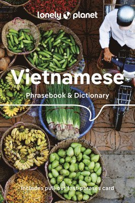 bokomslag Lonely Planet Vietnamese Phrasebook & Dictionary