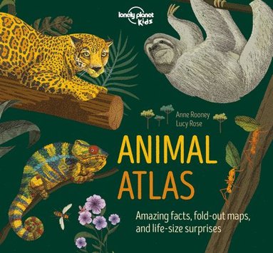 Anne Rooney - Lonely Planet Kids Animal Atlas: Amazing Facts & Fold Out Maps Explore Creature Features from a Bear's Paw to a Baby Turtle Packed with Beautiful Illu, Inbunden