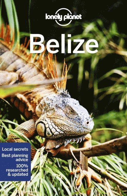 Lonely Planet Belize 1