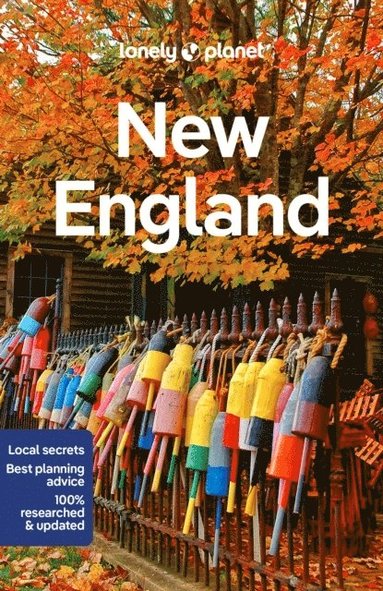 bokomslag Lonely Planet New England