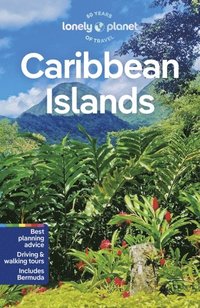 bokomslag Caribbean Islands 9