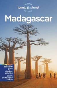 bokomslag Lonely Planet Madagascar