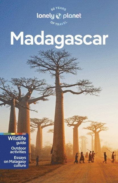Lonely Planet Madagascar 1