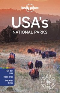 bokomslag Lonely Planet USA's National Parks
