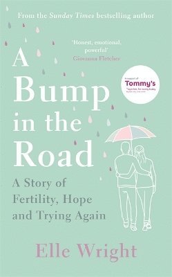 A Bump in the Road 1