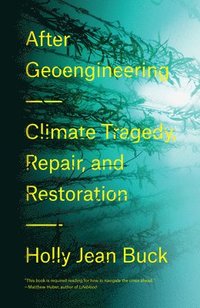 bokomslag After Geoengineering