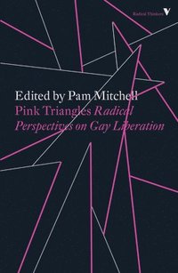bokomslag Pink Triangles