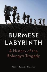 bokomslag The Burmese Labyrinth